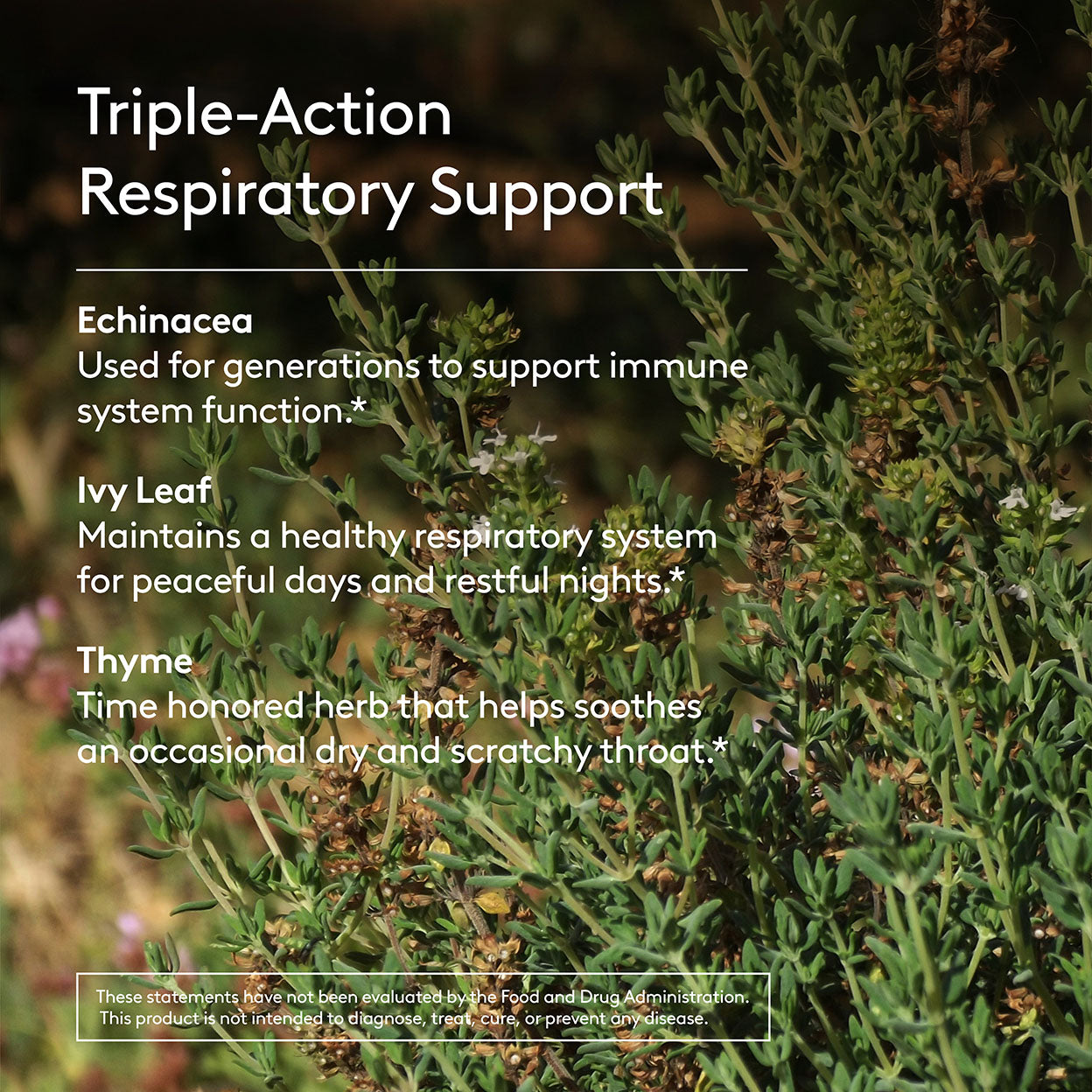 Children's Deep Lung Support Syrup