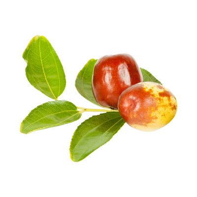 Jujube