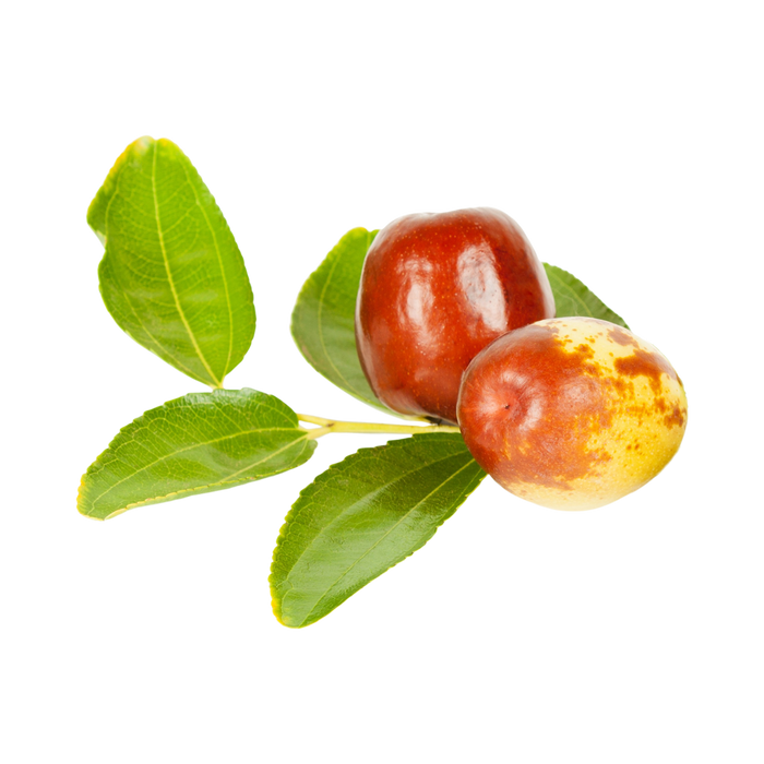 Jujube