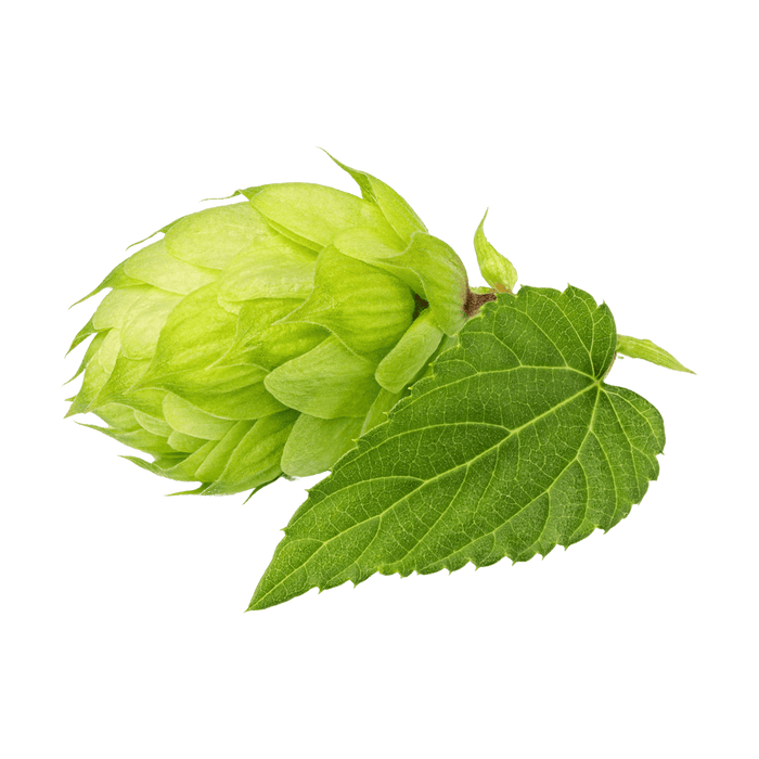Hops