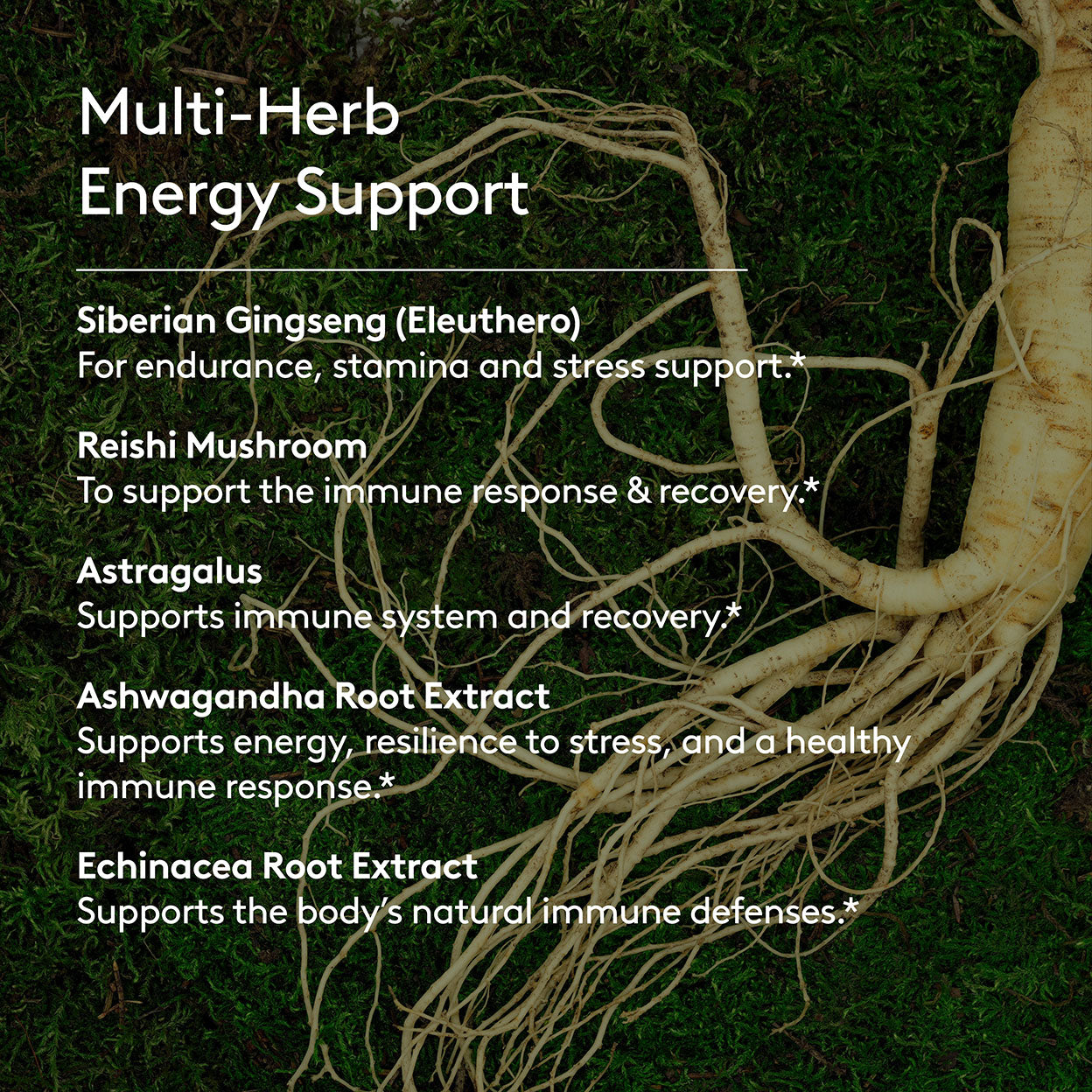 Immune + Energy