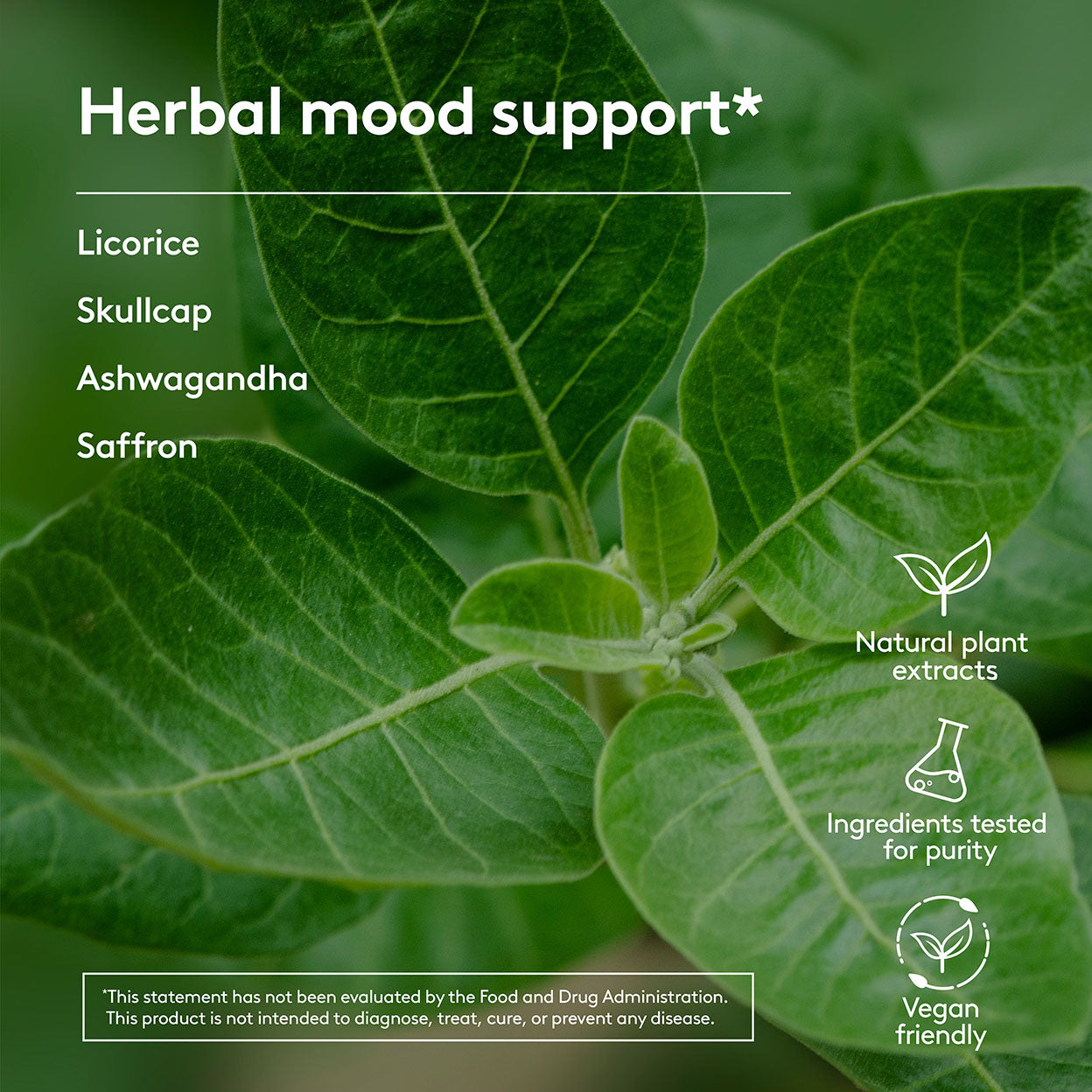 Stress & Mood Support