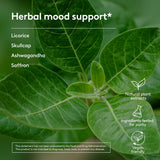 Stress & Mood Support